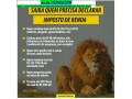 controle-de-receitas-brutas-mensais-small-0
