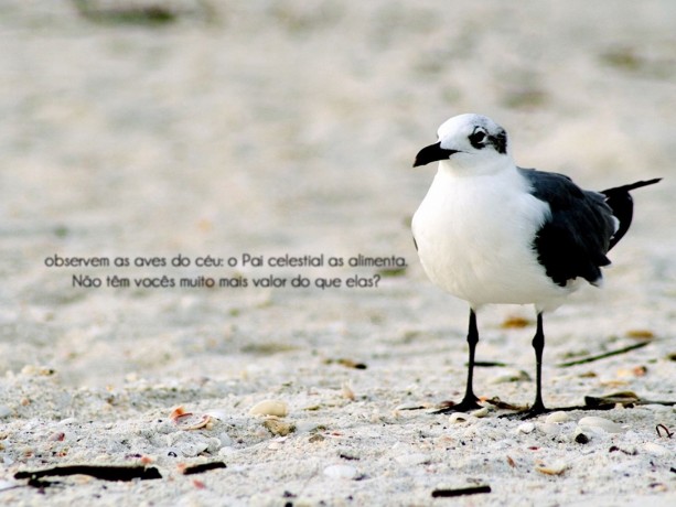 pagamento-e-regularizacao-do-das-consultoria-mei-big-0