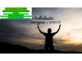 asaas-investimentos-pequenos-e-seguros-invista-pequena-small-0