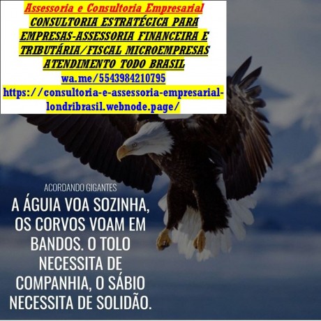 assessoria-empresarial-e-contabil-londrina-av-charle-lindemberg-big-0