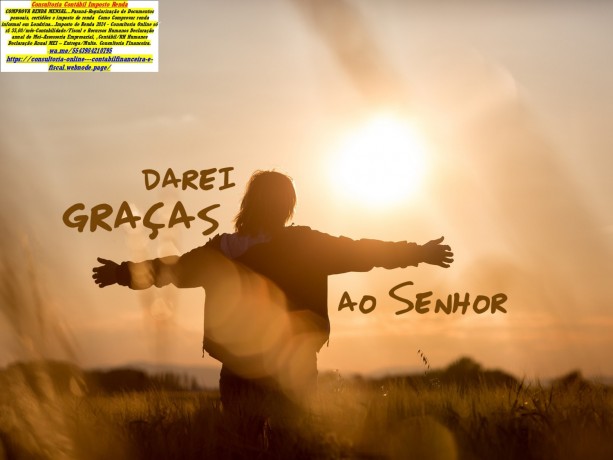 declaracao-imposto-de-renda-2025-para-brasileiros-em-nova-york-big-0
