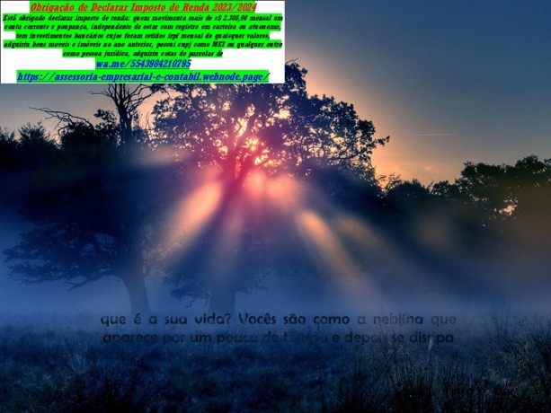 sao-paulo-declaracao-anual-mei-2025-prazo-de-entrega-comeca-big-0