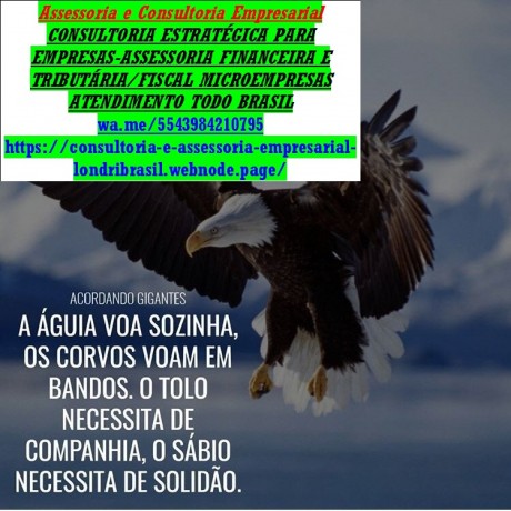 livro-caixa-2025-para-autonomos-profissionais-liberais-e-meis-big-0