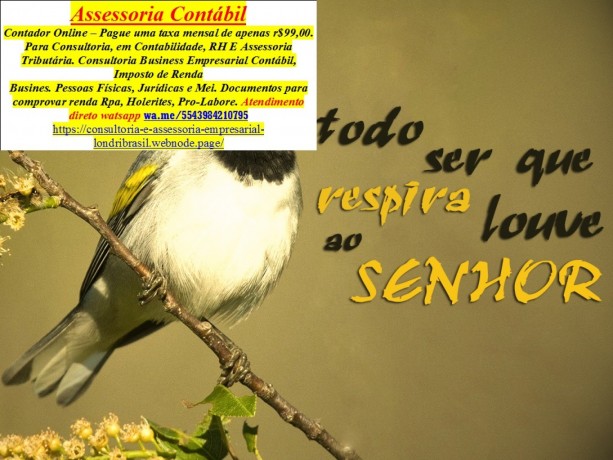 imposto-de-renda-2025-big-0