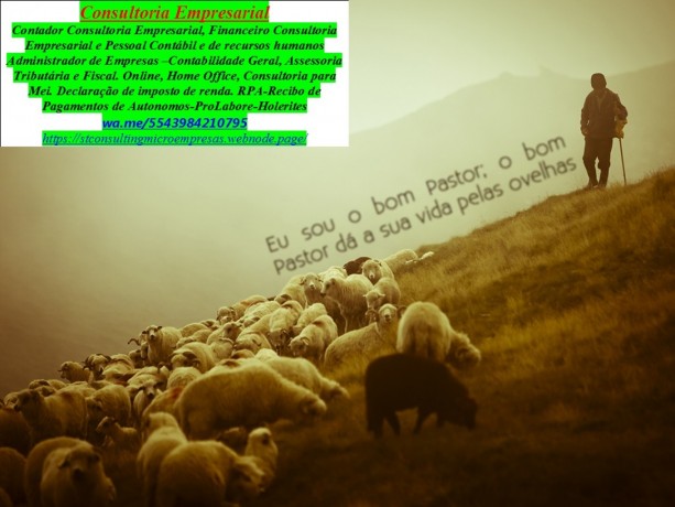 servicos-de-regularizacao-de-meis-emissao-de-guia-e-declaracao-anual-big-0