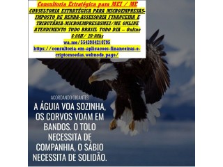 Declaração Anual MEI, Como Fazer, Prazo de Entrega, Multa por atraso