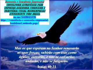 Saulo Turra - Imposto de Renda 2025 Londrina - Goiás