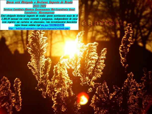 declaracao-pessoa-fisica-imposto-renda-2025-para-brasileiros-em-boston-big-0