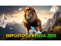 obrigacao-declarar-imposto-renda-profissional-liberal-autonomo-meis-small-0