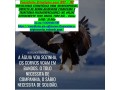 londrina-declaracao-de-faturamento-anual-consultoria-mei-small-0