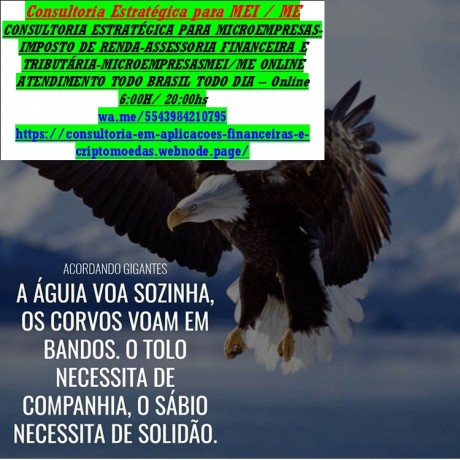 londrina-declaracao-de-faturamento-anual-consultoria-mei-big-0