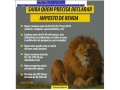bauru-tele-sena-oficial-quem-compra-ganha-small-0