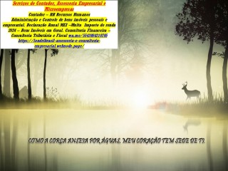 Imposto de renda 2025 para Profissionais Liberais