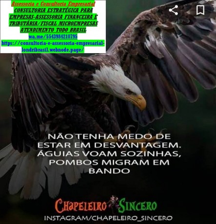 documentos-para-comprovar-rendaautonomosprofissionais-liberaismicroempresariosmeis-big-0