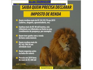 SIMPLES NACIONAL PARANÁ - Declaração Imposto de renda 2025,
