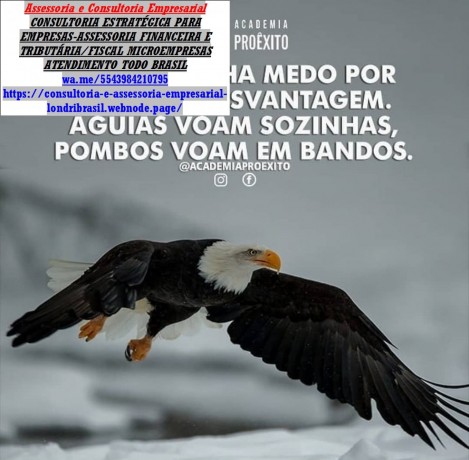 declaracao-irf-2025-parana-big-0