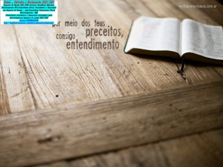Prazo de Entrega começa em 01-01-2025 Declaração Anual Mei 2025