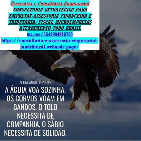 especialista-em-crimes-siberneticos-digitais-links-fraudulentos-big-0