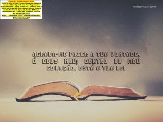 LondriBrasil Assessoria