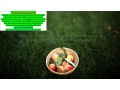 parana-assessoria-contabilidade-para-microempreas-mei-small-0