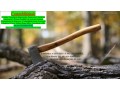 contador-online-cambe-small-0