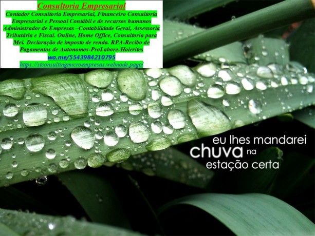 servicos-de-divulgacaoanunciopropaganda-digital-e-marketing-big-0