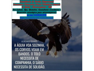 Contador Online São Paulo