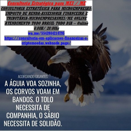 servicos-de-documentos-de-tecnico-contabil-big-0