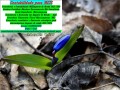 riojaneiro-conultoriaassessoriacontabil-microempreendedor-mei-small-0