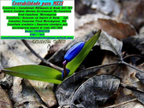 riojaneiro-conultoriaassessoriacontabil-microempreendedor-mei-big-0