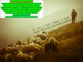 irpf-2025-imposto-de-renda-pessoa-fisica-small-0