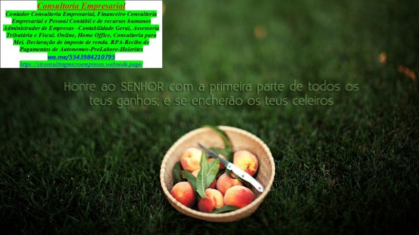 mei-jd-cambezinho-declaracao-anual-big-0