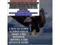 boston-everett-massachussets-quality-painting-carpentry-services-small-0