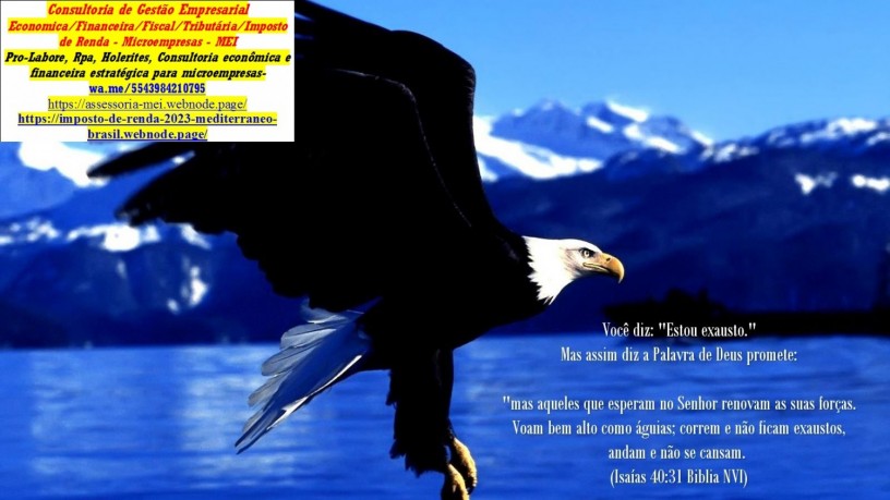 consultoria-microempresas-maringa-big-0