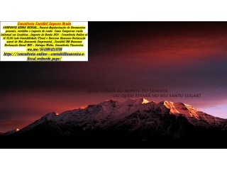 STONE - rendimento diário e maquininha