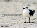 artesantos-em-croche-e-trico-small-0