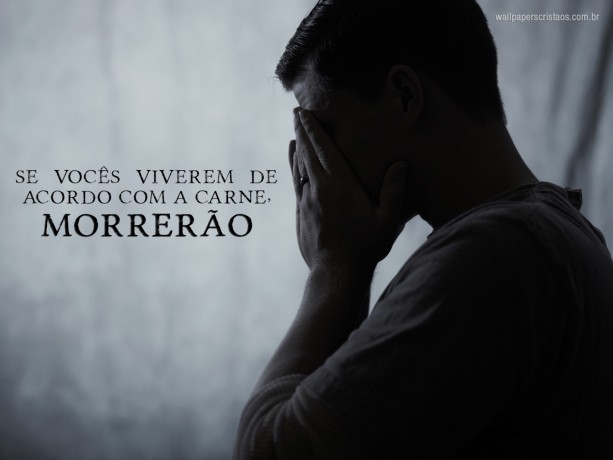 propaganda-digital-londrinaagencia-digitalmarketing-digitalpublicidade-digital-big-0