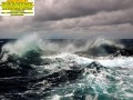 qr-code-como-fazer-qr-code-de-emails-sites-watsapp-redes-sociais-small-0