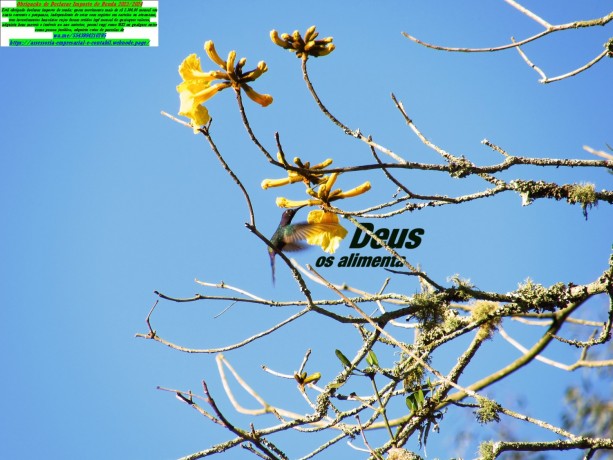 rio-grande-do-sul-contabilidade-imposto-de-renda-asessoria-mei-big-0