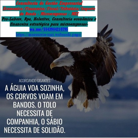 brasil-tele-sena-oficial-big-0