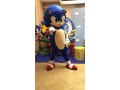 sonic-e-amigos-personagens-vivos-rj-small-0