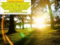 agencia-empregos-curriculumcuritiba-capacitacao-profissional-small-0